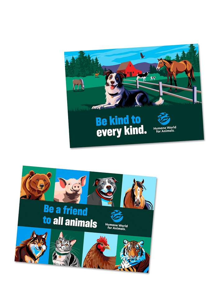 Greeting card bundle  product image (1)
