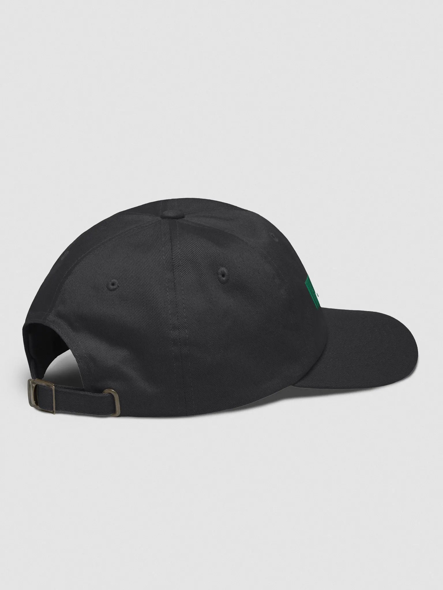 VIRTUAL BRO Hat v1 product image (4)