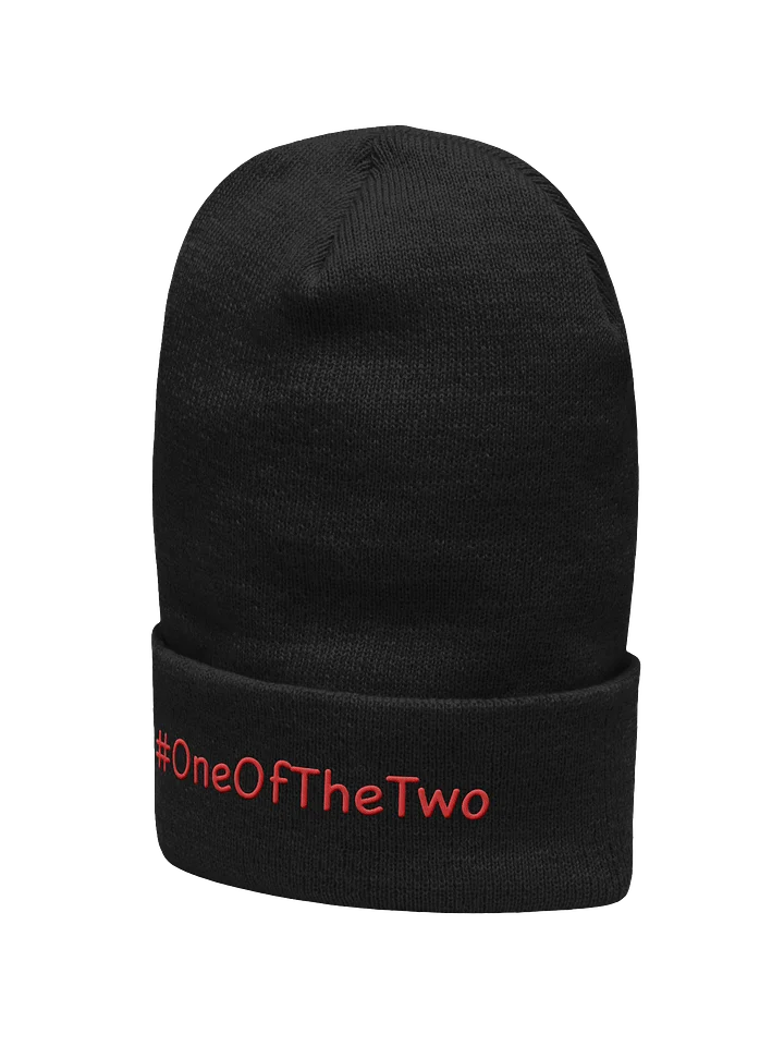 One Of The Two beanie product image (2)