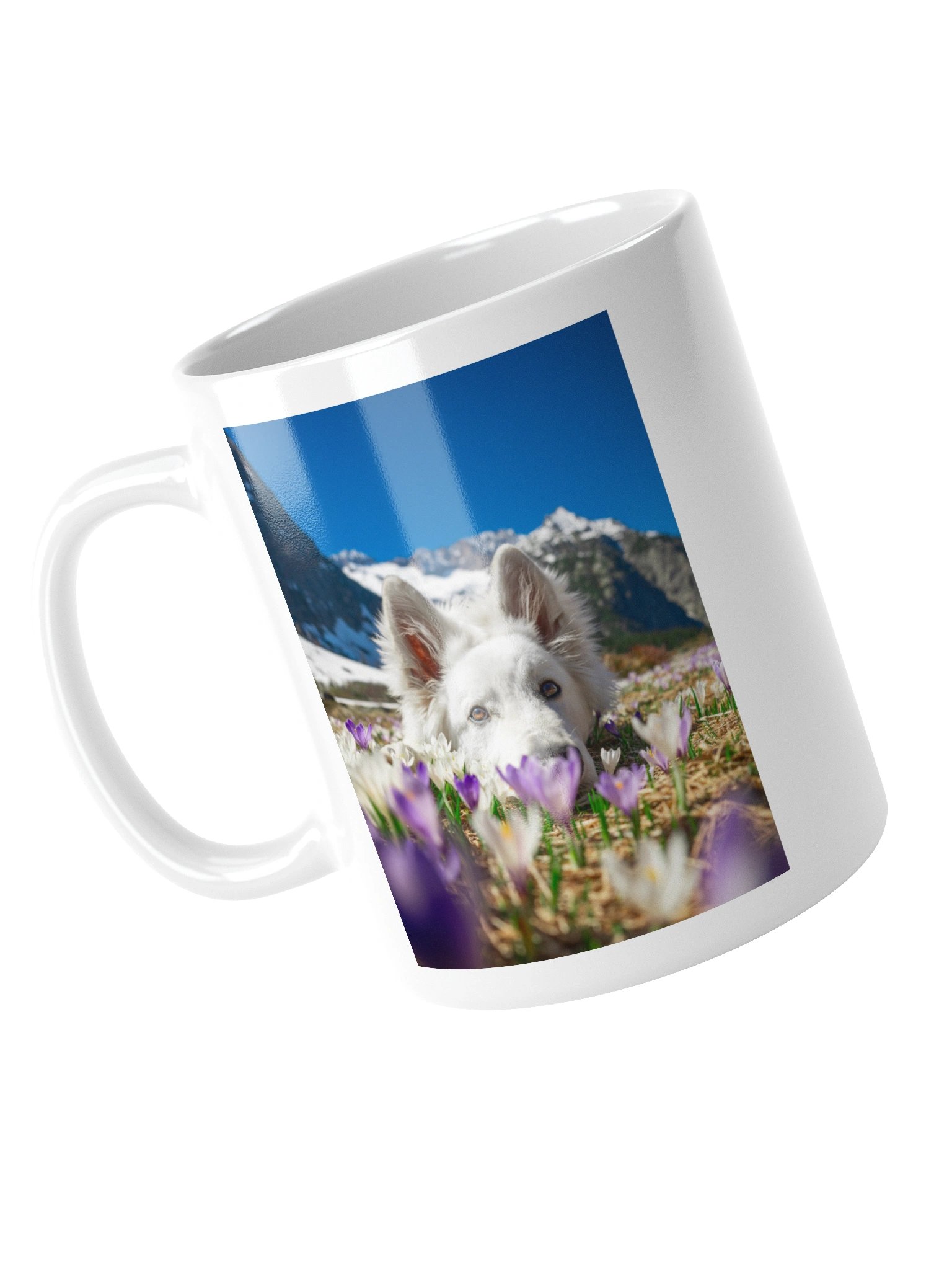 Lil Rasta in the crocus field product image (15)