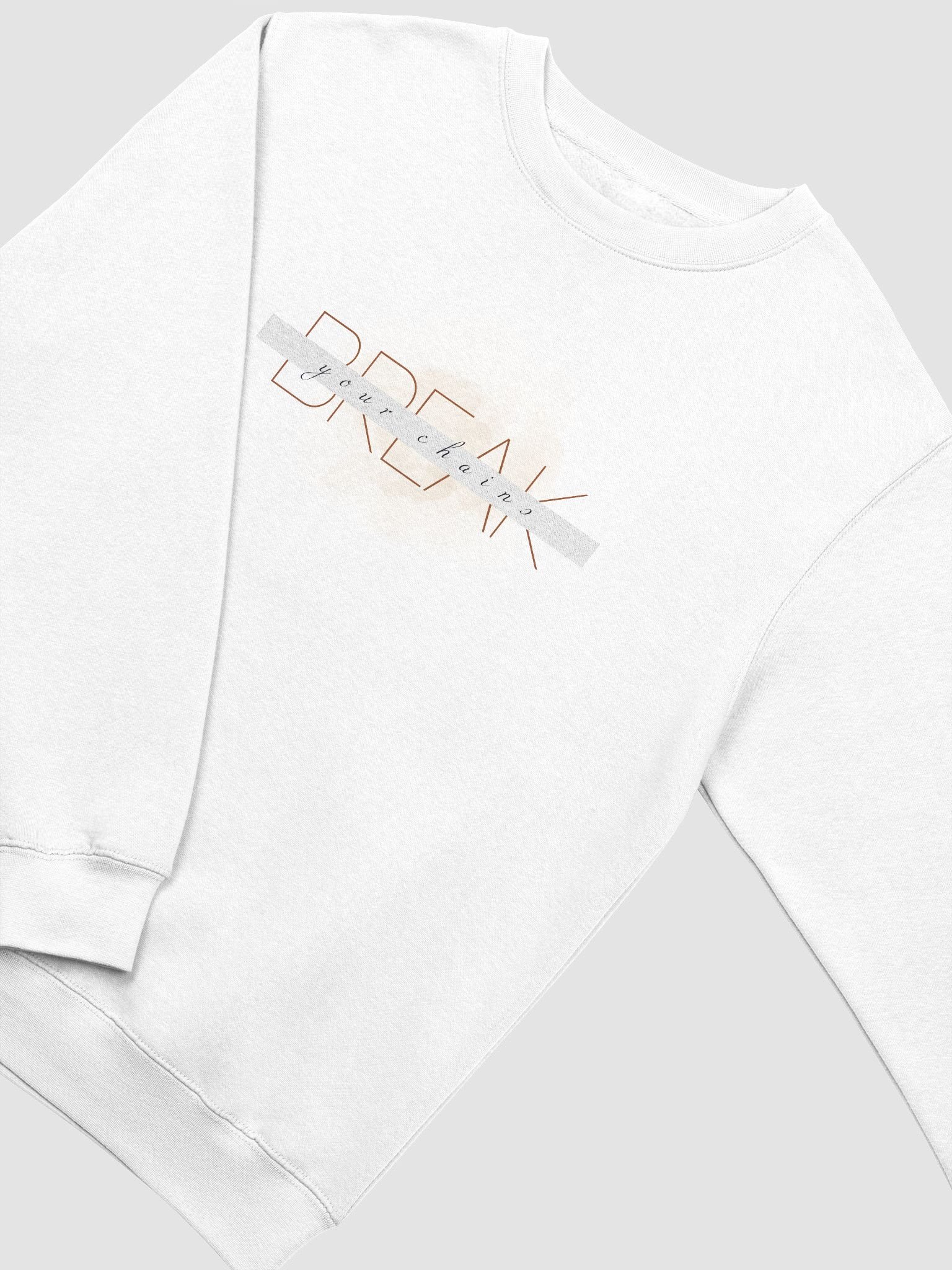Women's Premium Crewneck Sweatshirt PCFB0102 product image (2)