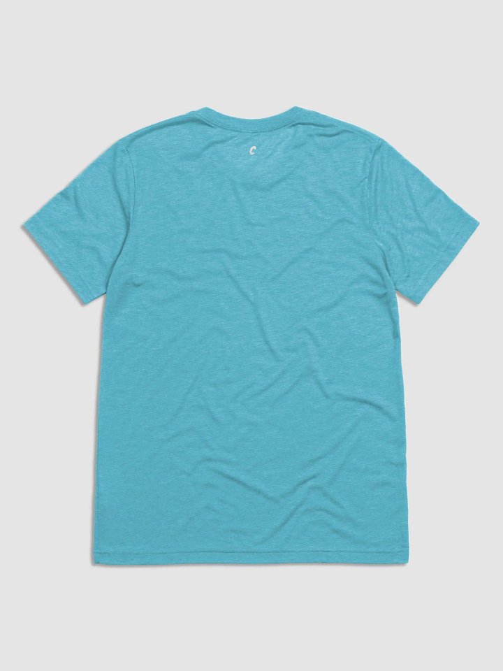 Triblend Short Sleeve T-Shirt product image (2)