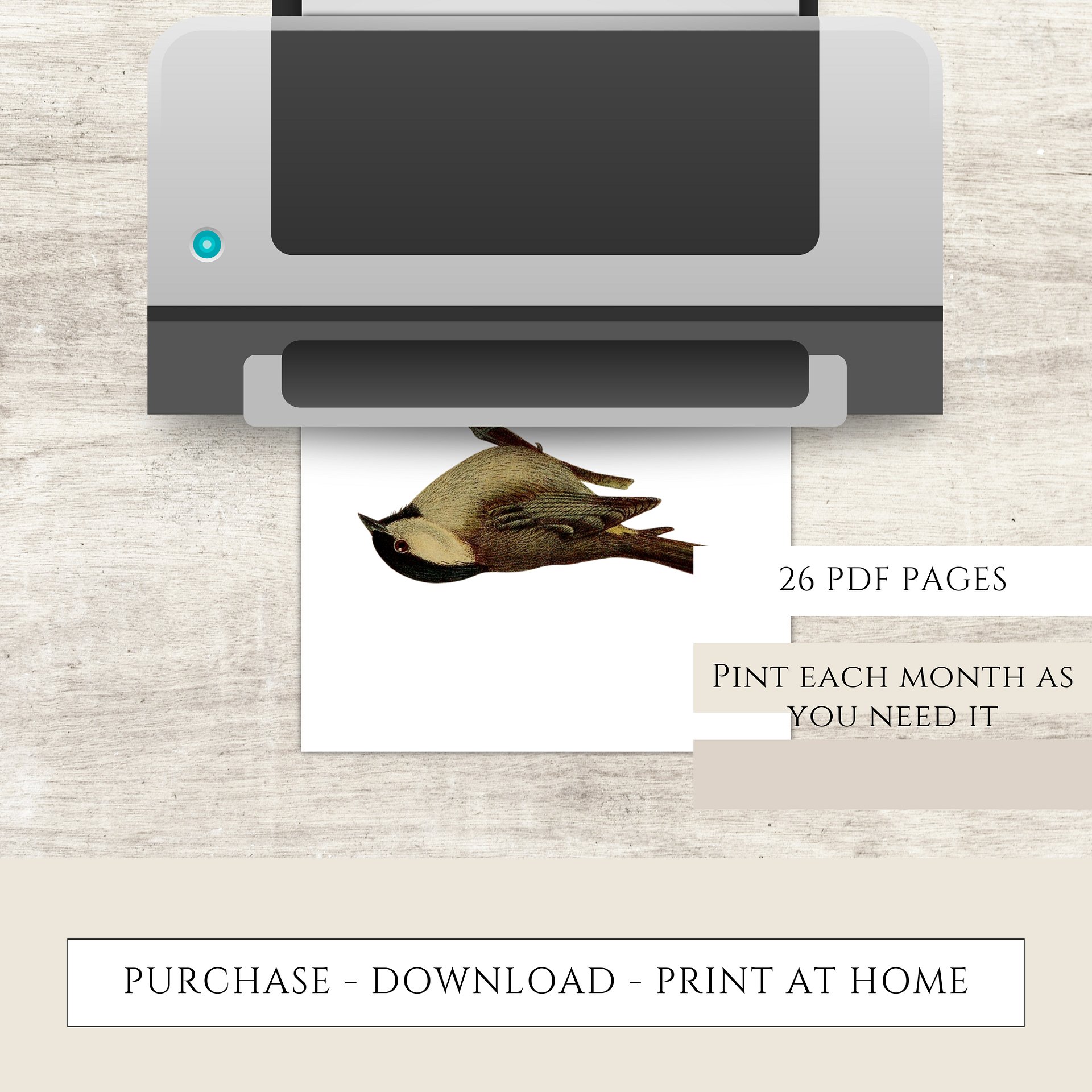 2025-2026 PDF Calendar: American Birds product image (9)