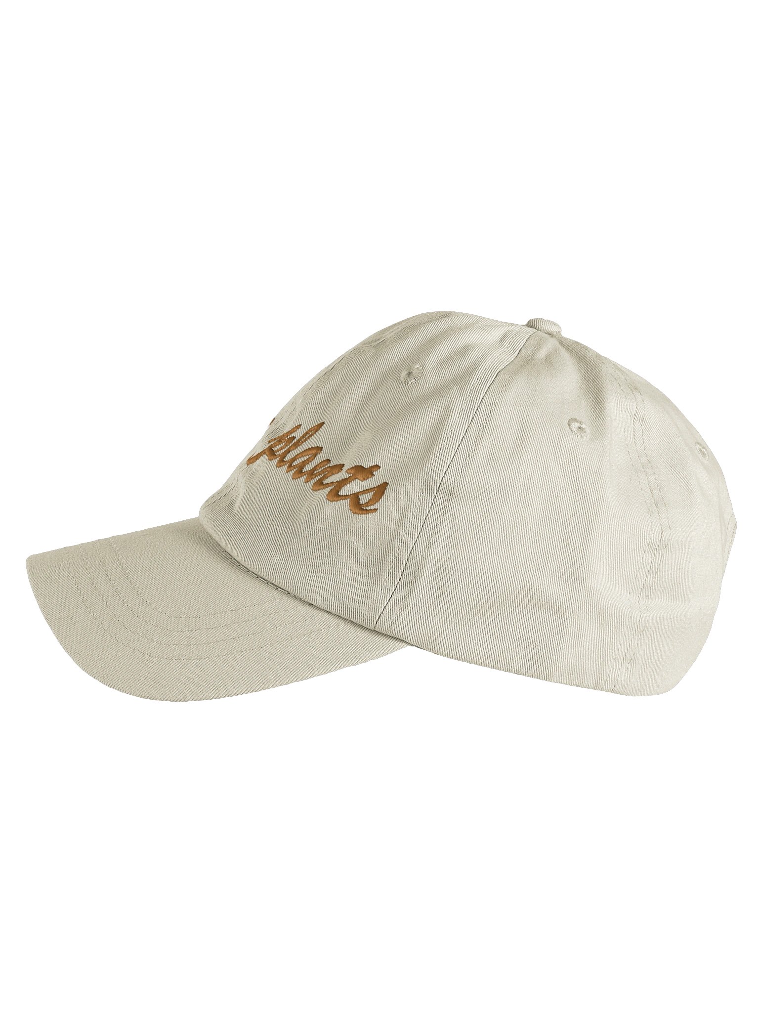 Native Plants Embroidered Dad Hat product image (3)