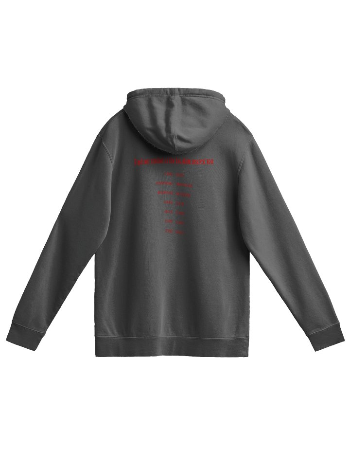 3301 Heavyweight Hoodie (Black) product image (2)