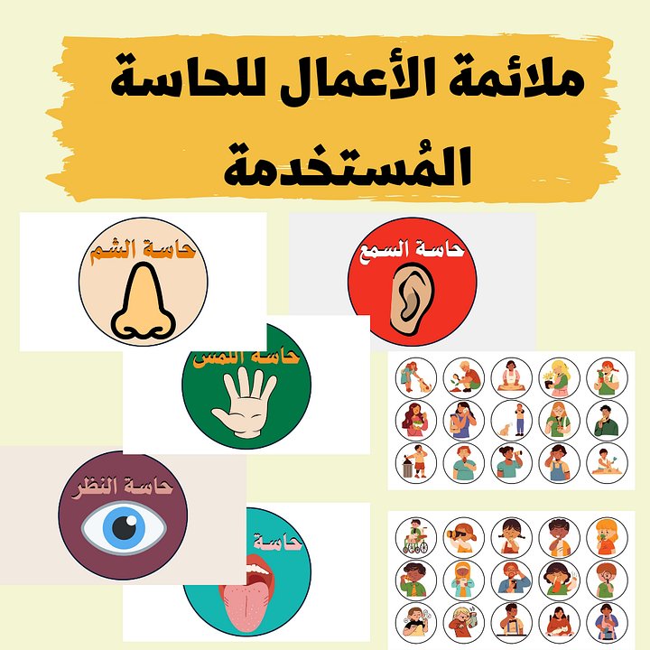 ملائمة الأعمال للحاسة المُستخدمة | الحواس الخمس - pdf product image (1)