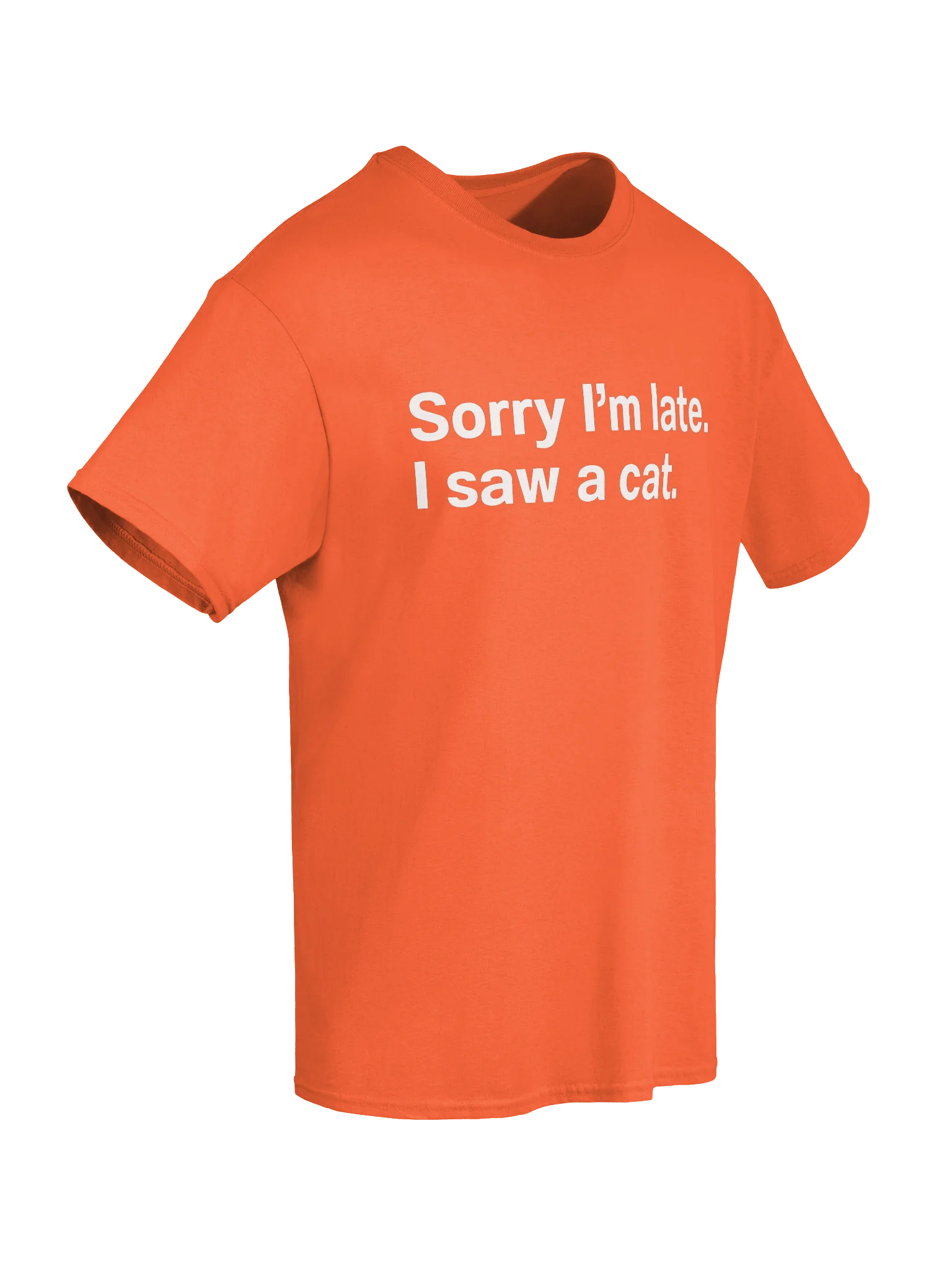 Sorry I'm late. I saw a cat. Unisex Shirt product image (72)