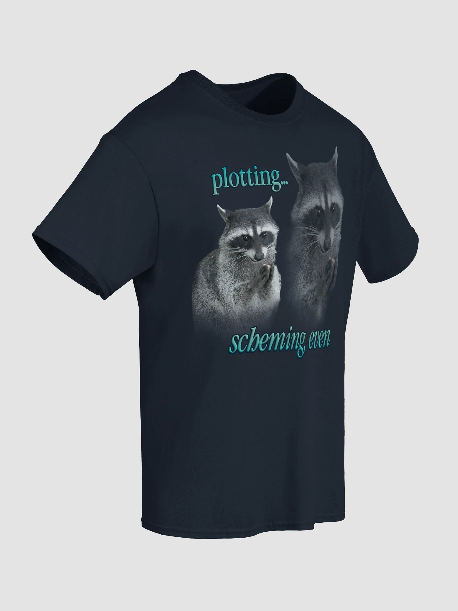 Plotting & Scheming Raccoon T-Shirt product image (8)