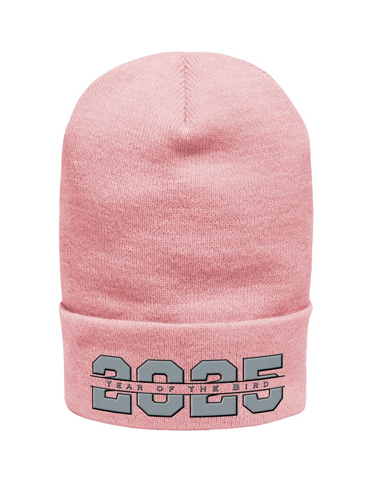 Grey "Year of the Bird" Beanie product image (2)