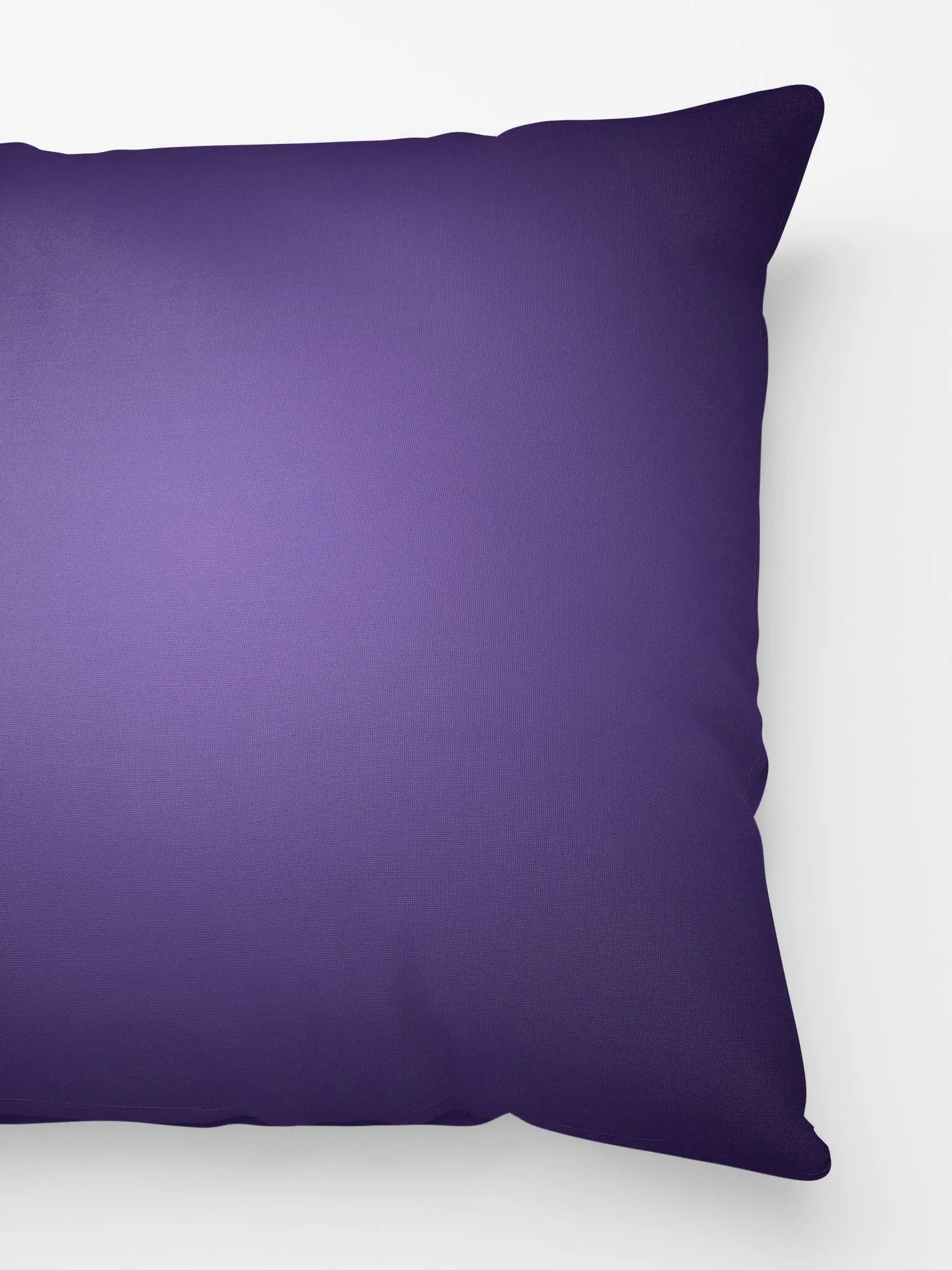 Raven Pillow product image (2)