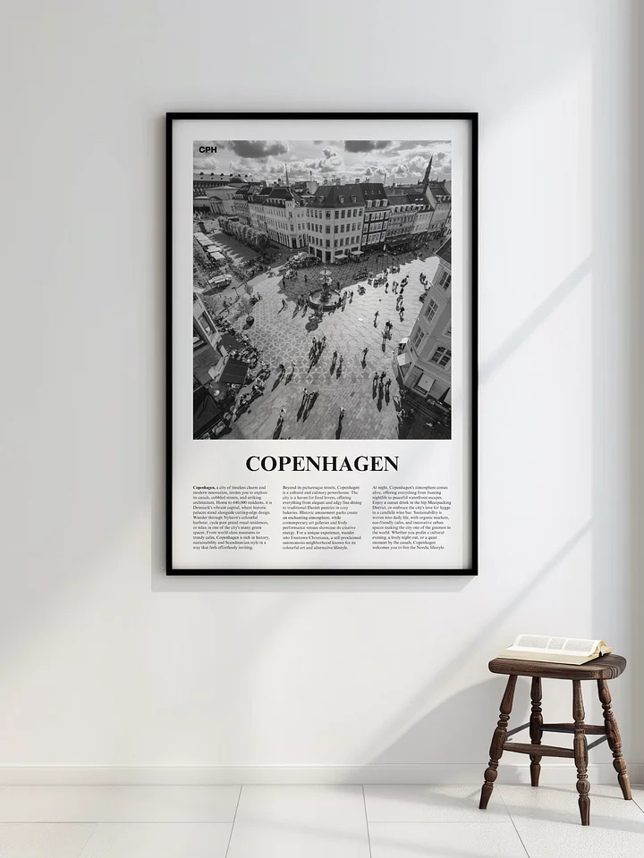 Copenhagen 02 Newspaper Poster product image (2)