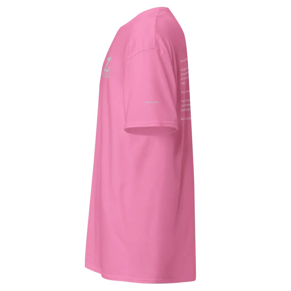 Gildan Heavyweight T-Shirt product image (3)
