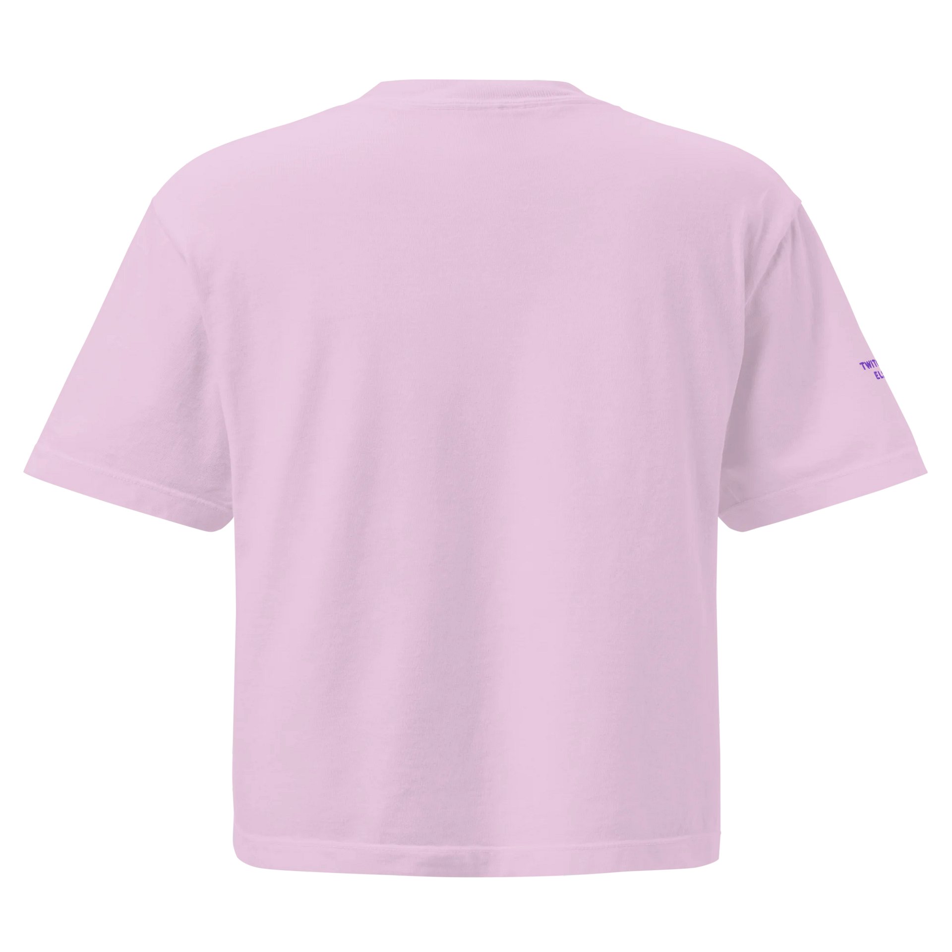 el☆ embroidered boxy tee product image (10)