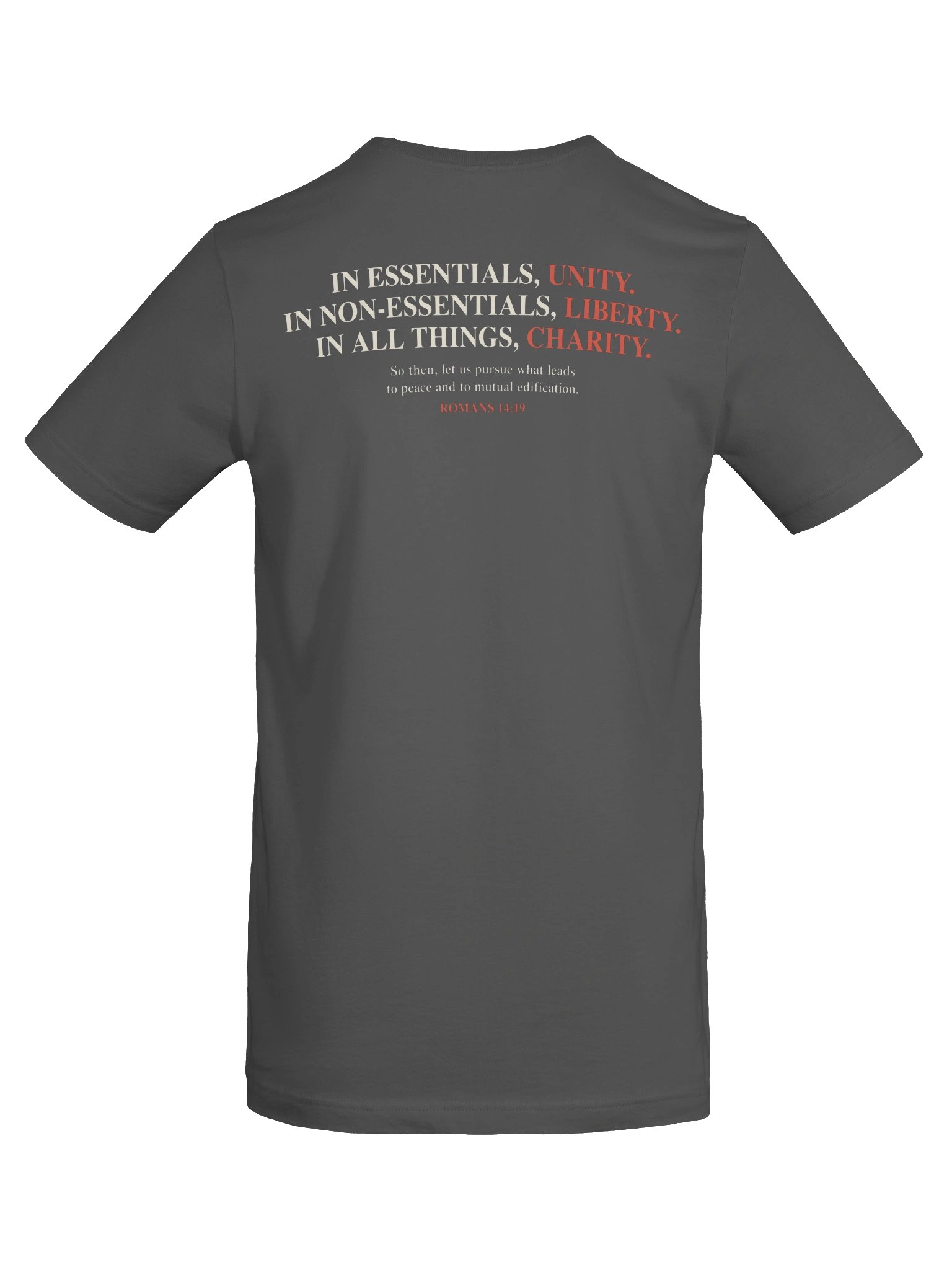 Foolish Controversies T-shirt product image (76)