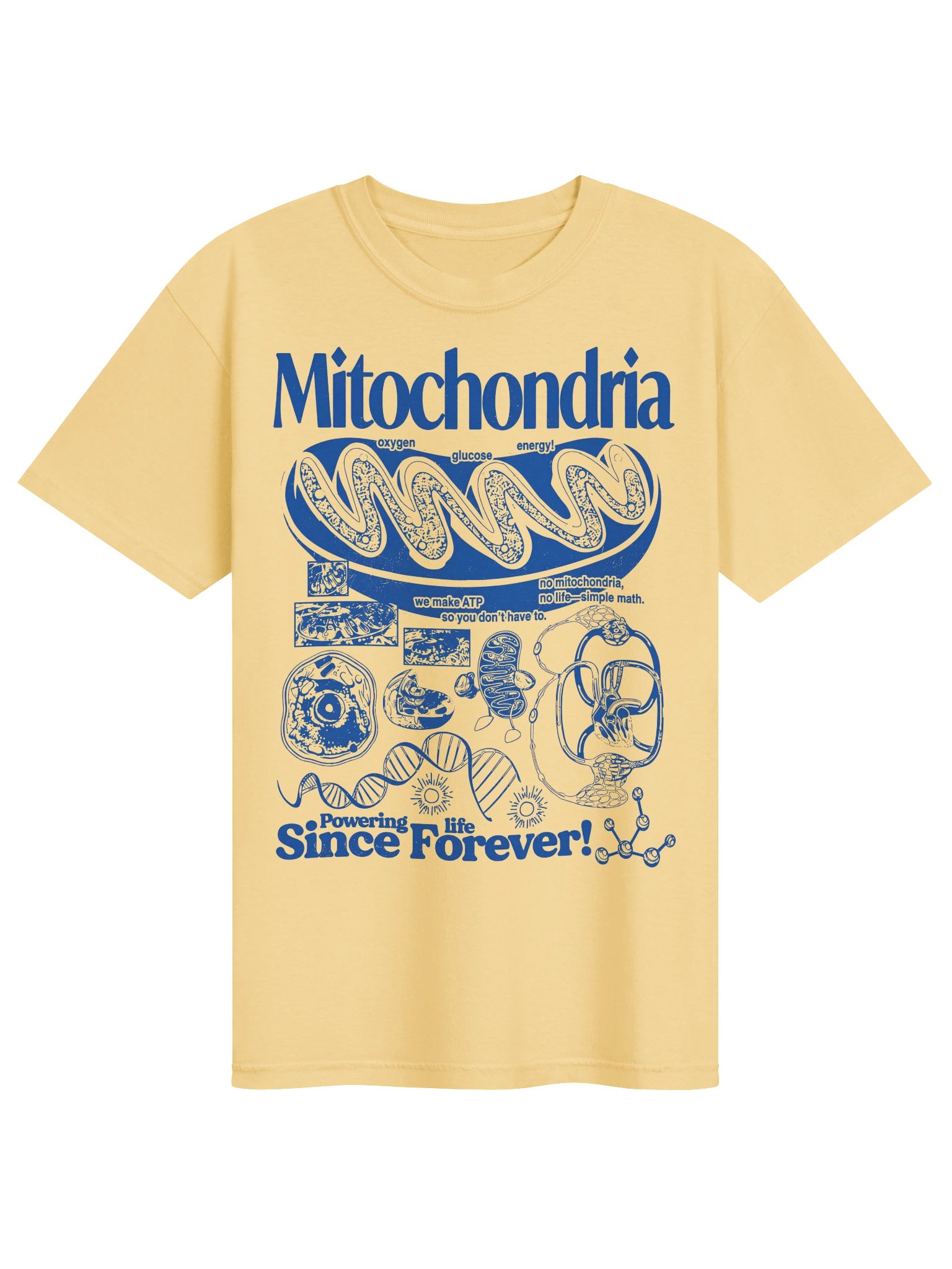 Mitochondria Graphic Tee,Biology Teacher Shirt, Comfort Colors Science Graphic Tee, Unisex product image (61)