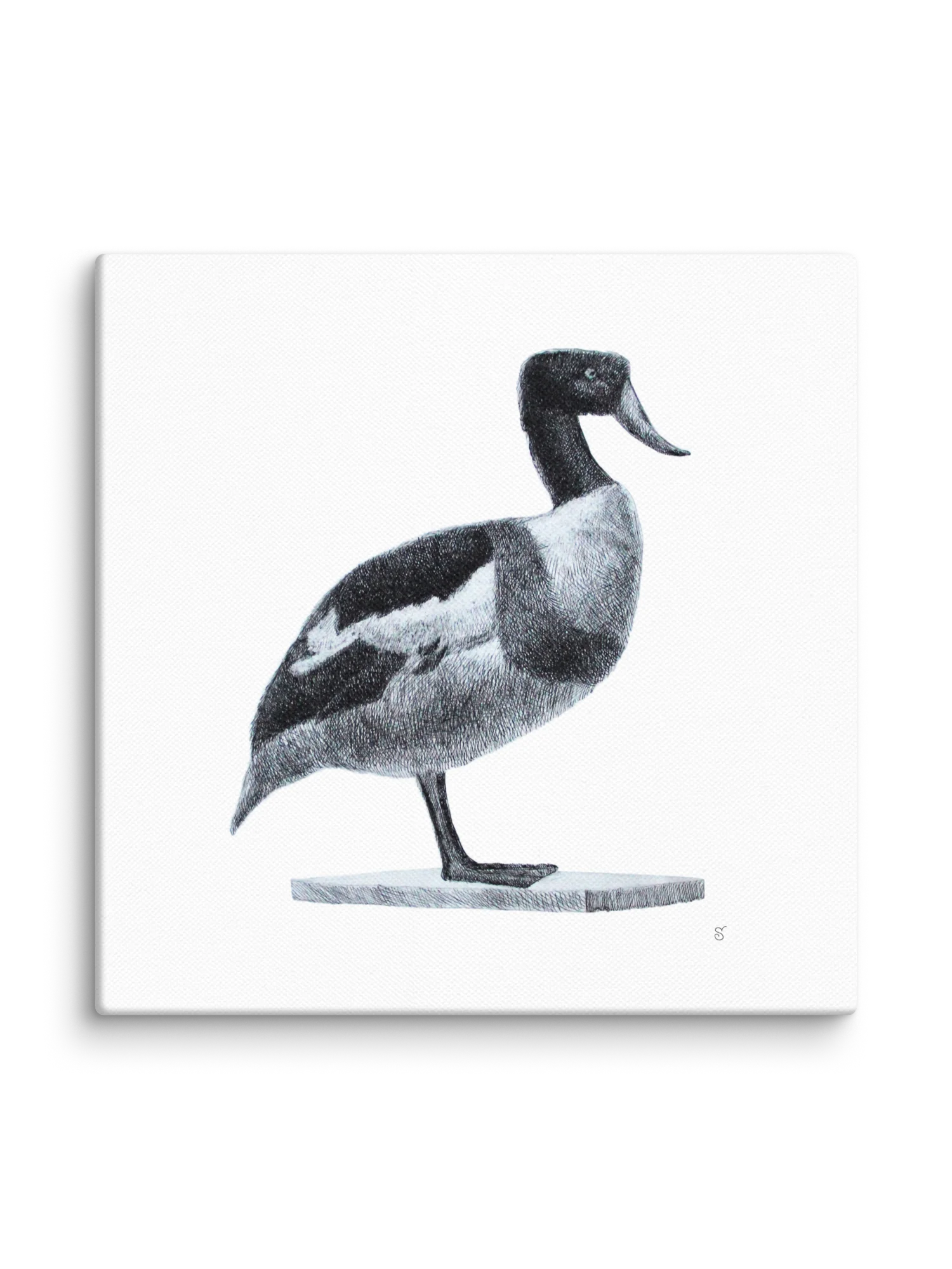 Blank Canvas: Unleash Your Artistic Vision - Duck product image (2)