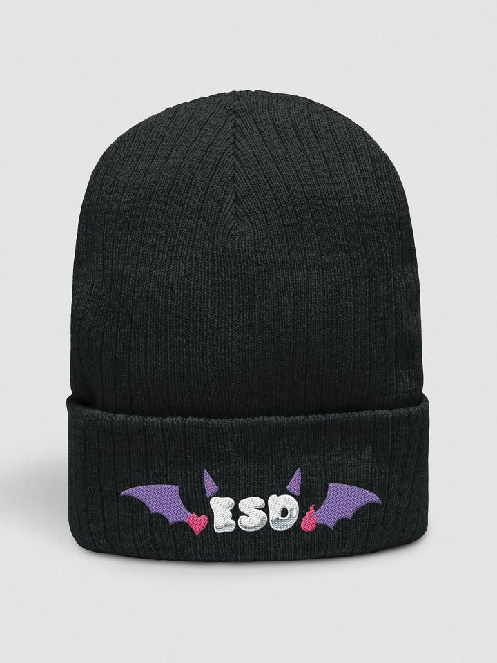 ESD winged beanie product image (1)