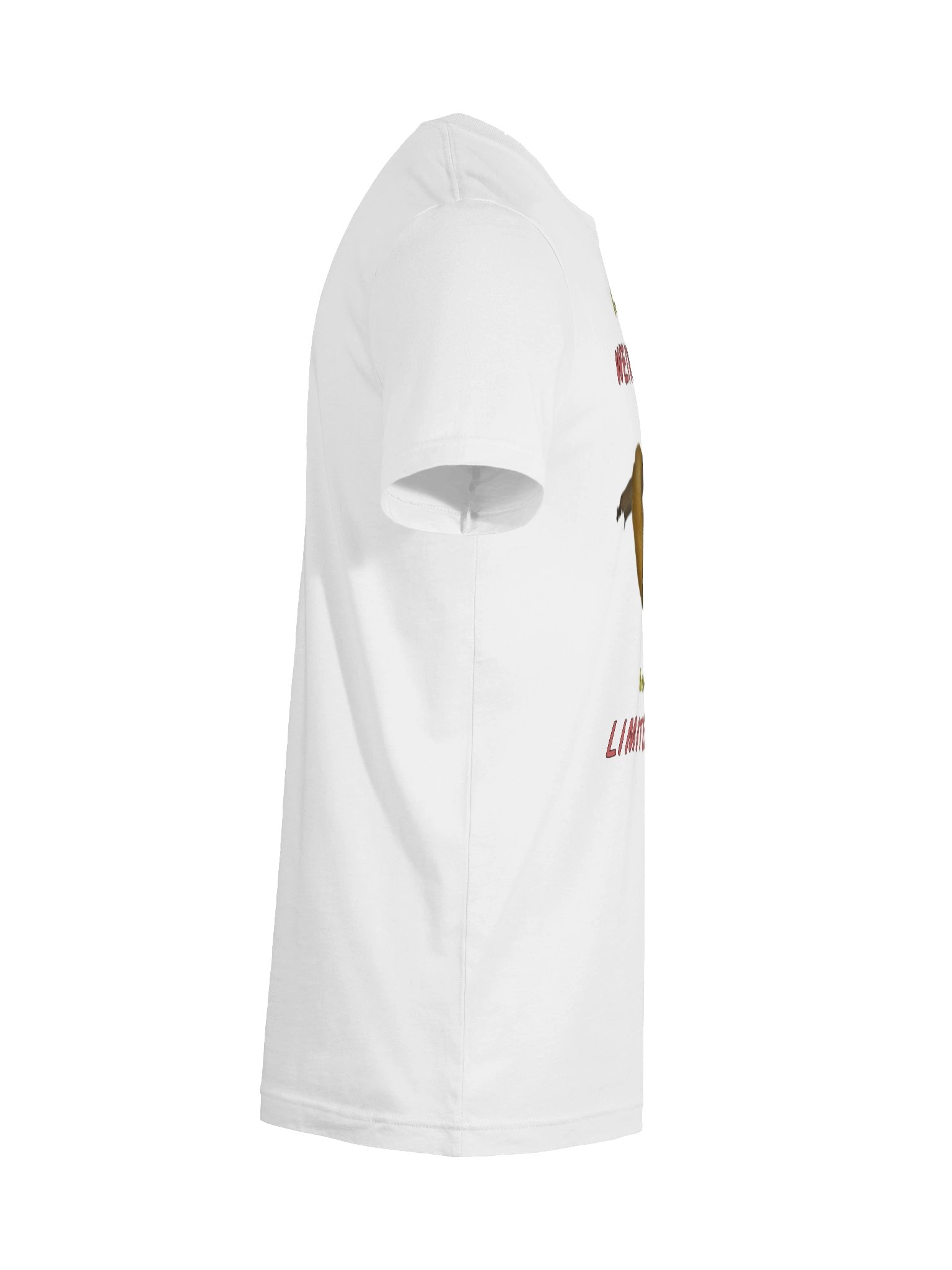 Women's Bella+Canvas Supersoft T-Shirt product image (8)