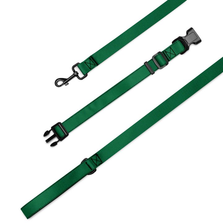 Lucky Dog Green Pet Collar & Leash Set 02 product image (2)