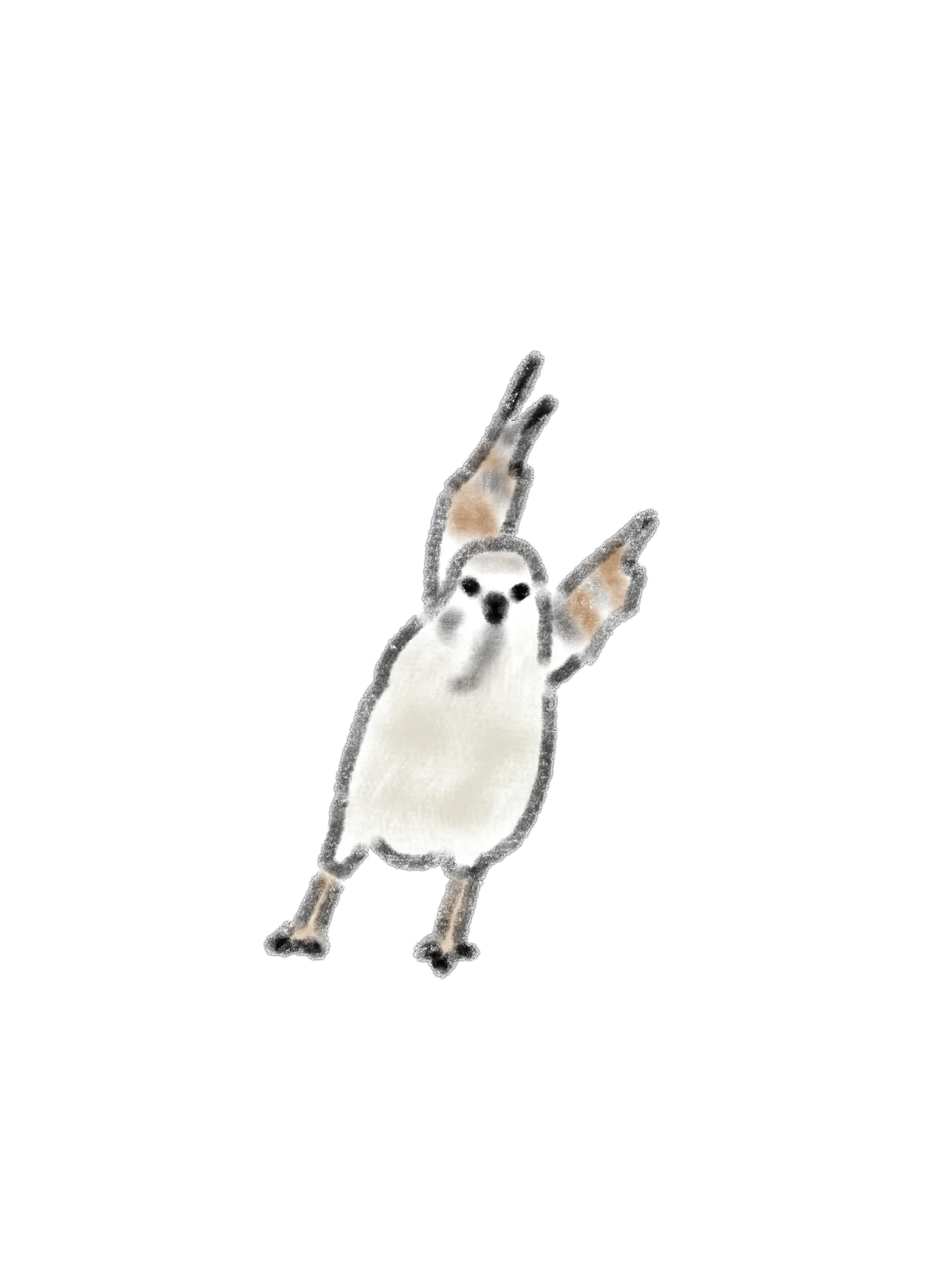 17 Hand-Drawn Penguin and Bird PNG Clipart Bundle product image (3)