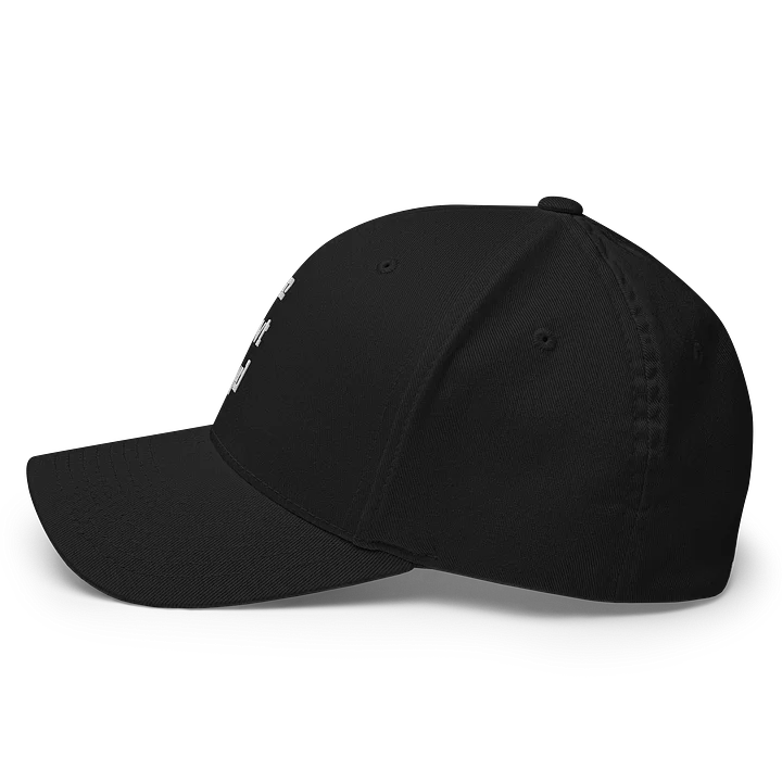 WeOwtsyd Flexfit Hat product image (2)