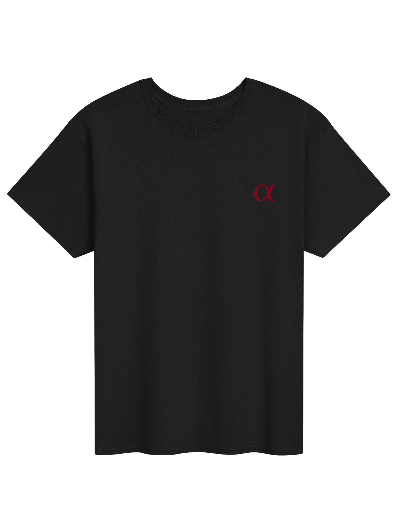 Black / Oxblood Heavyweight T-Shirt product image (1)