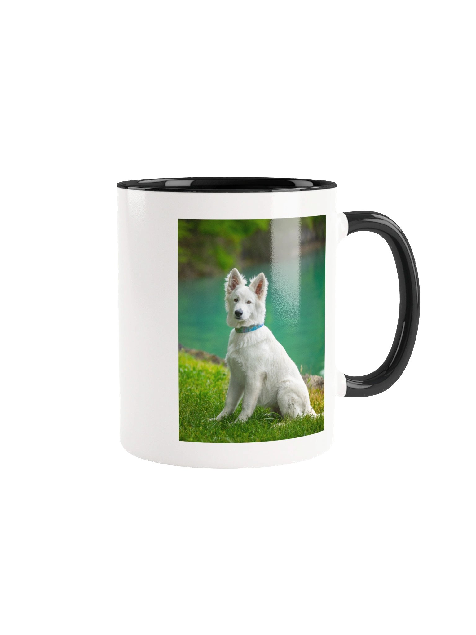 Lil Rasta at Lake Brienz product image (2)