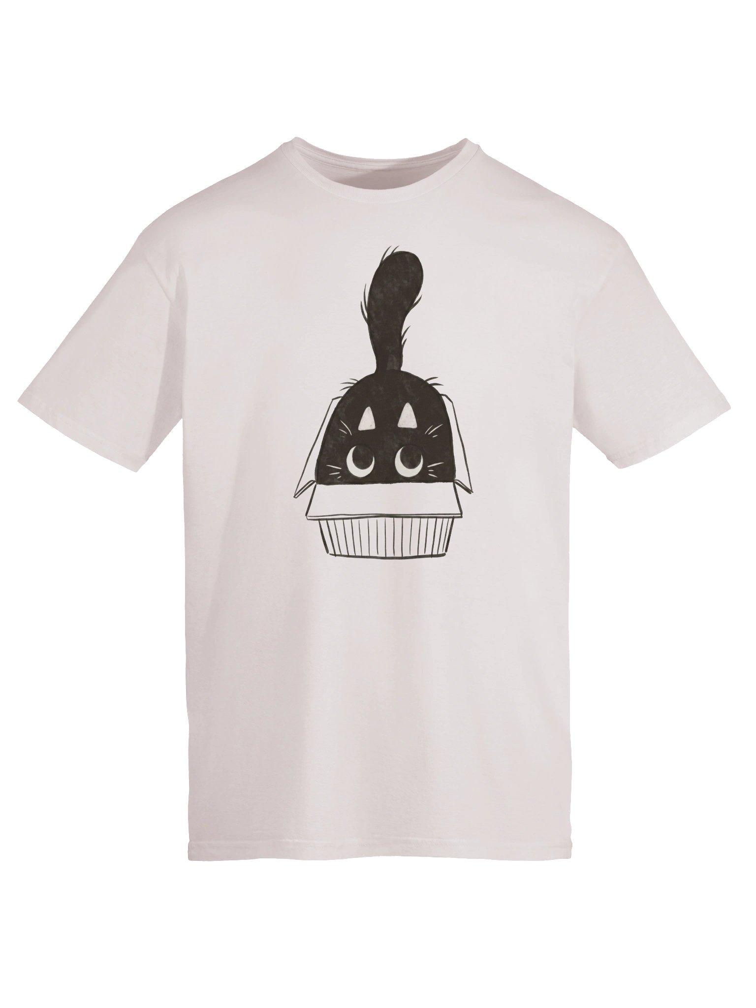 Cat In Box T-Shirt product image (53)