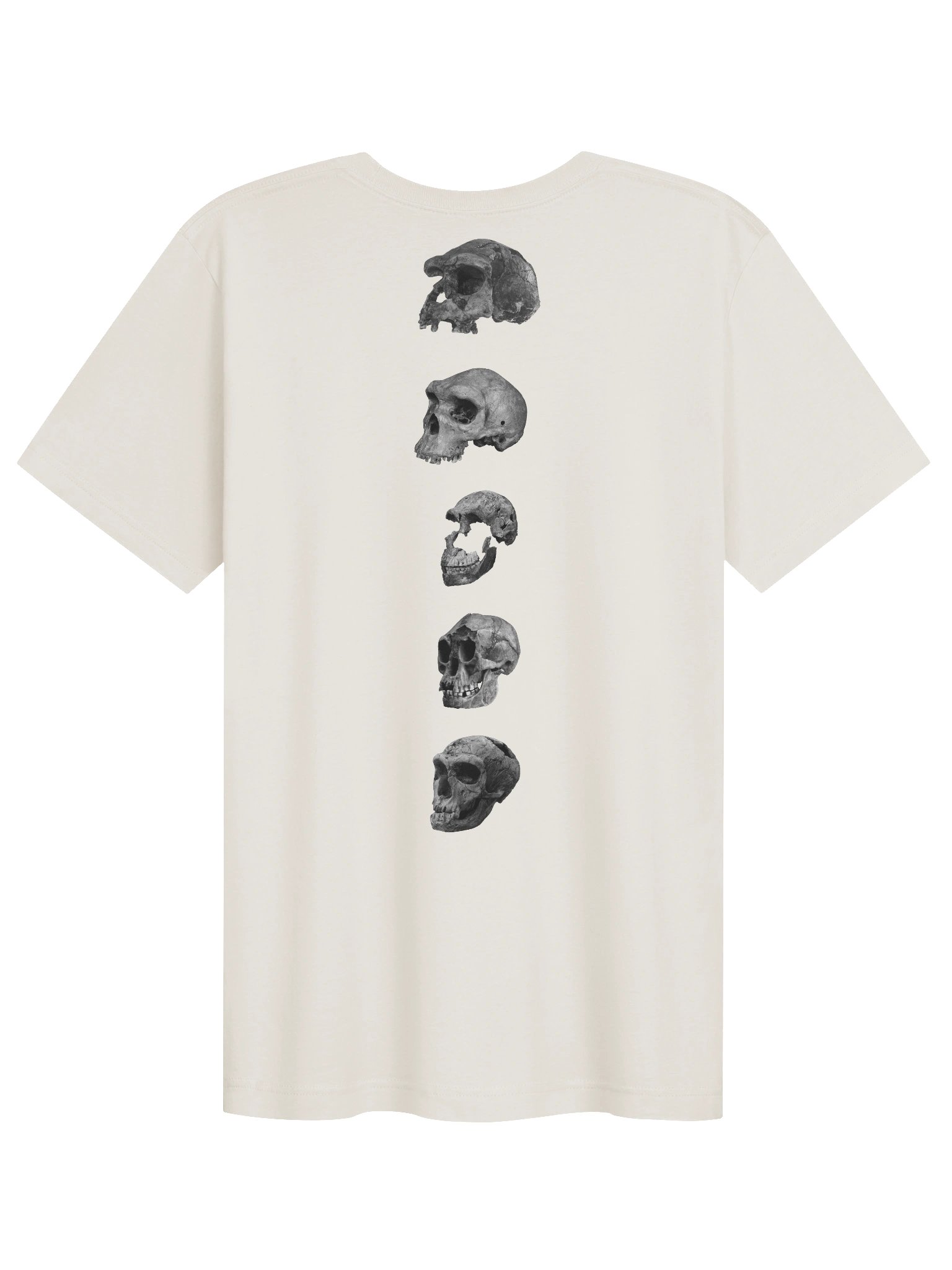 Skull Collection T-Shirt Light product image (2)