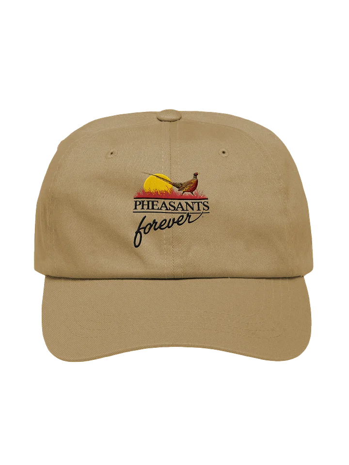 Benton Franklin PF Low Profile Dad Cap product image (1)