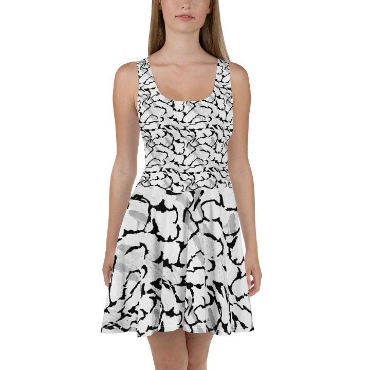Black White Skater Dress product image (2)