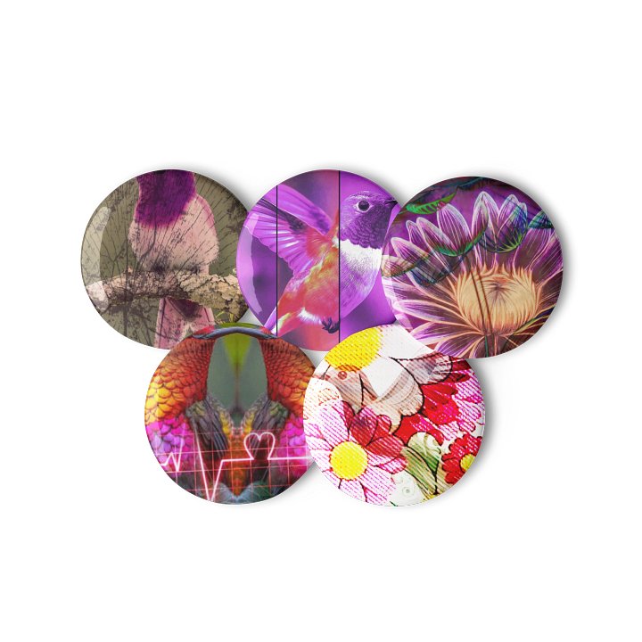 Hummingbird remix edited product image (3)
