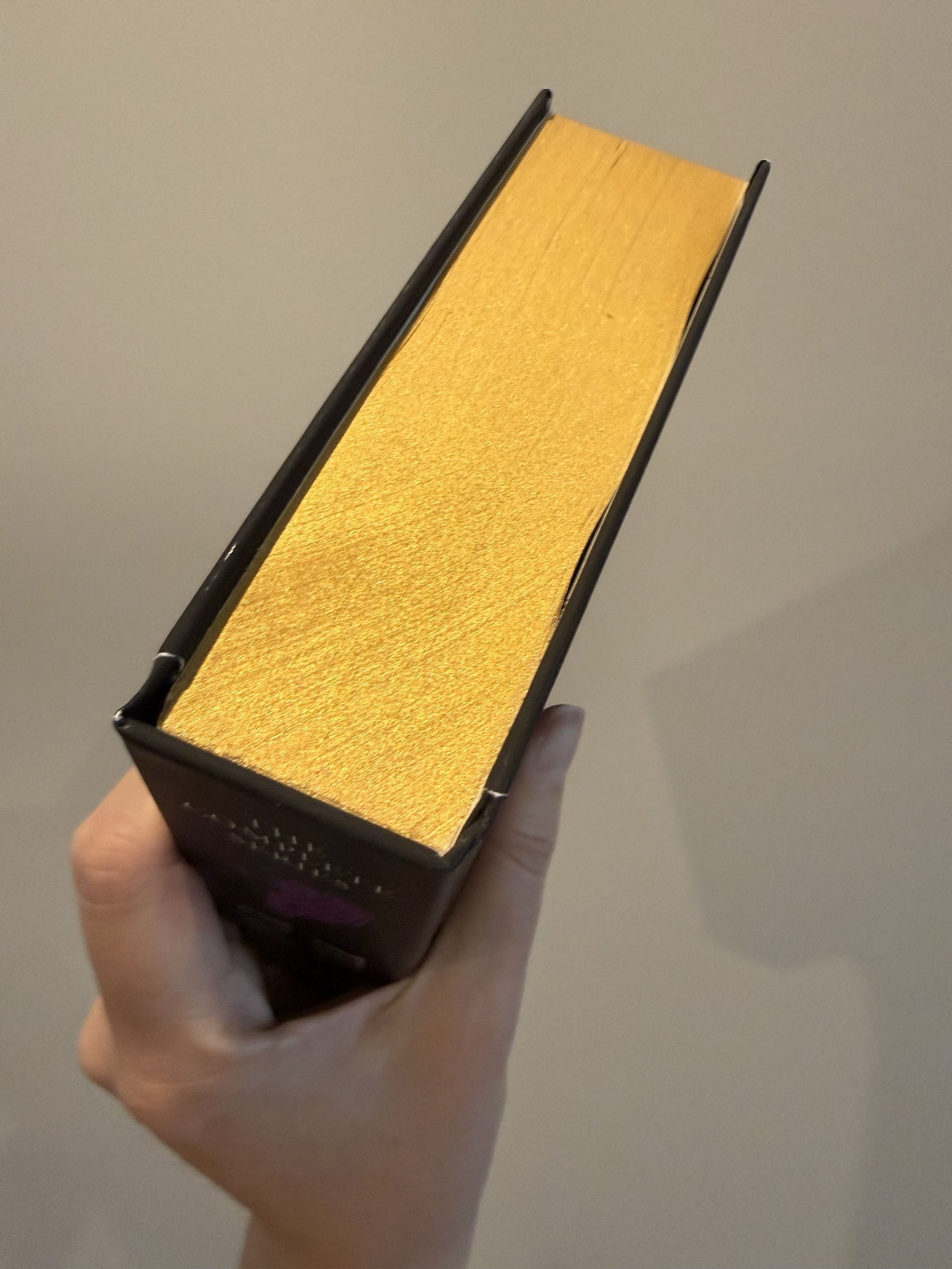Scratch/Dent: Fairytale Tarot Hardcover Omnibus-SPRAYED EDGE product image (4)