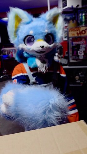 You ask, Runner provides

#furry #furryfandom #furrycommunity #furrytiktok #funnyvideos