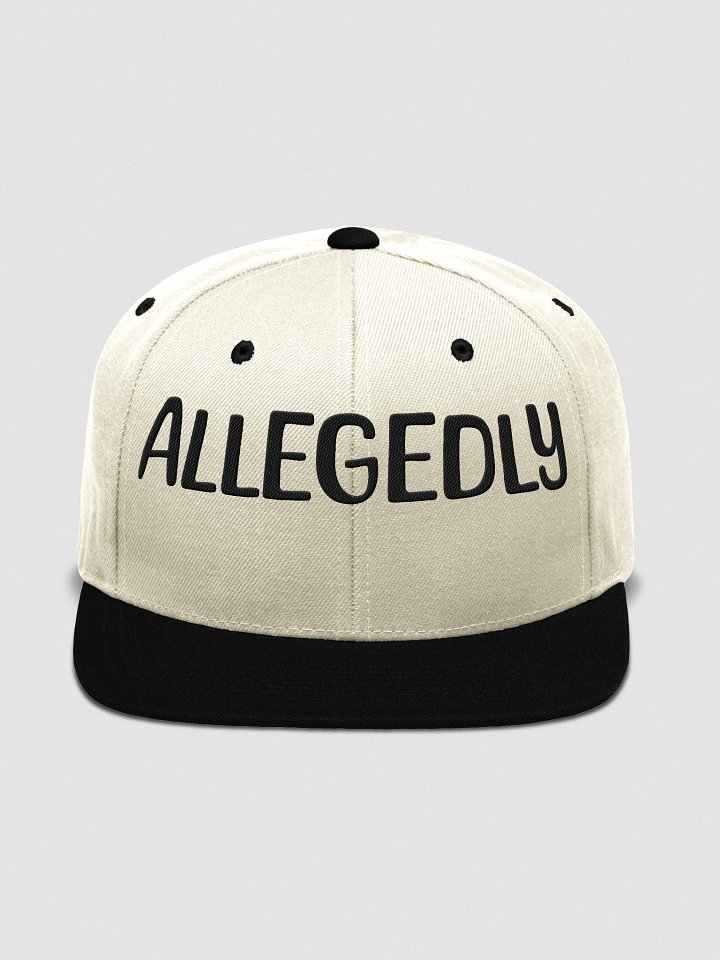 ALLEGEDLY POLTICAL EMBROIDERY Cap product image (15)