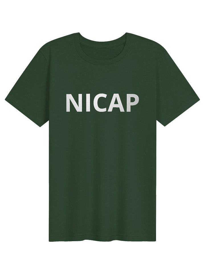 NICAP Embroidered T-Shirt, Fallen Angel, Multiple Colors T-Shirt, Sci Fi Lovers Gift T-Shirt product image (42)