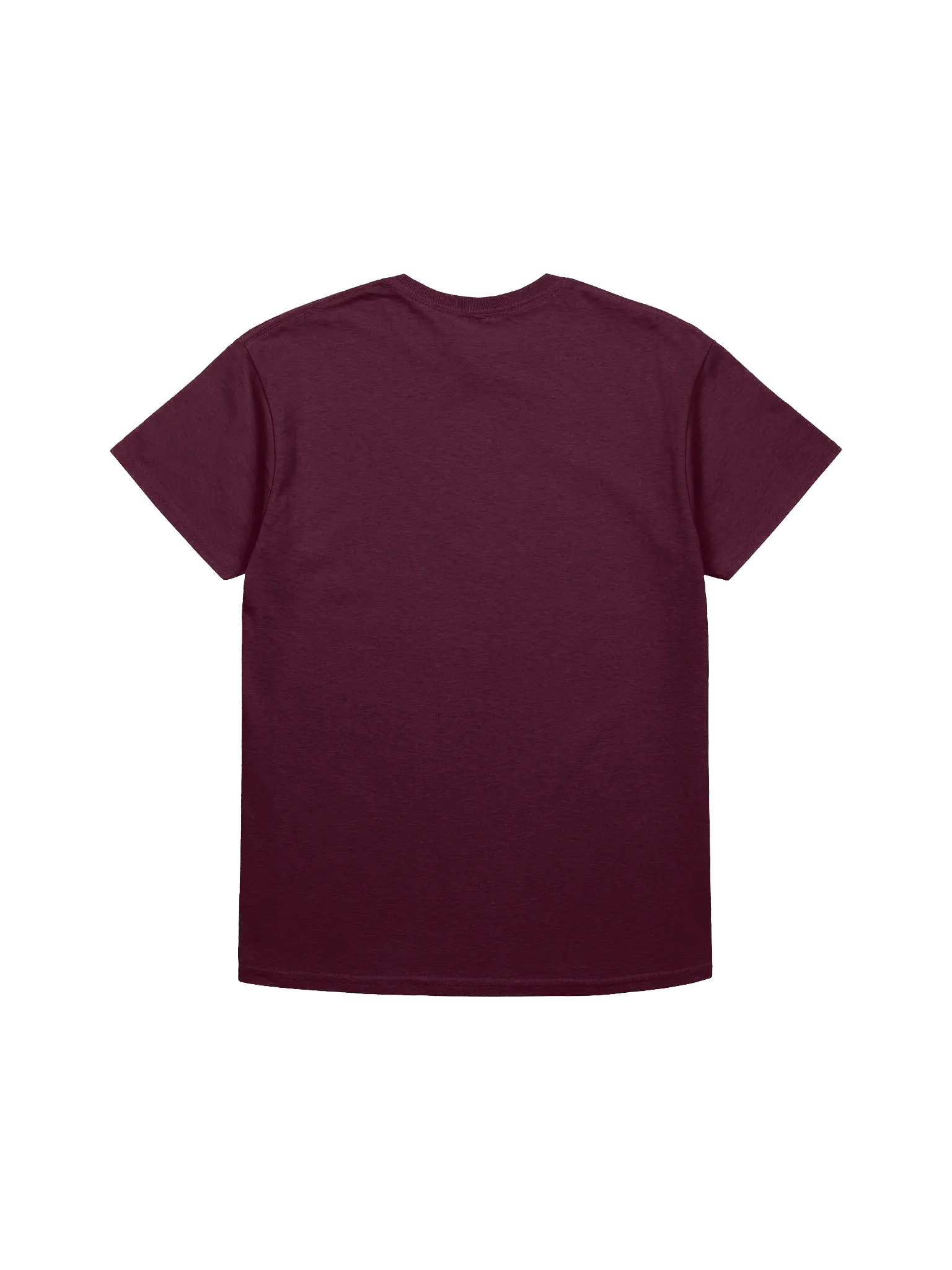Logo Heavyweight T-Shirt product image (2)