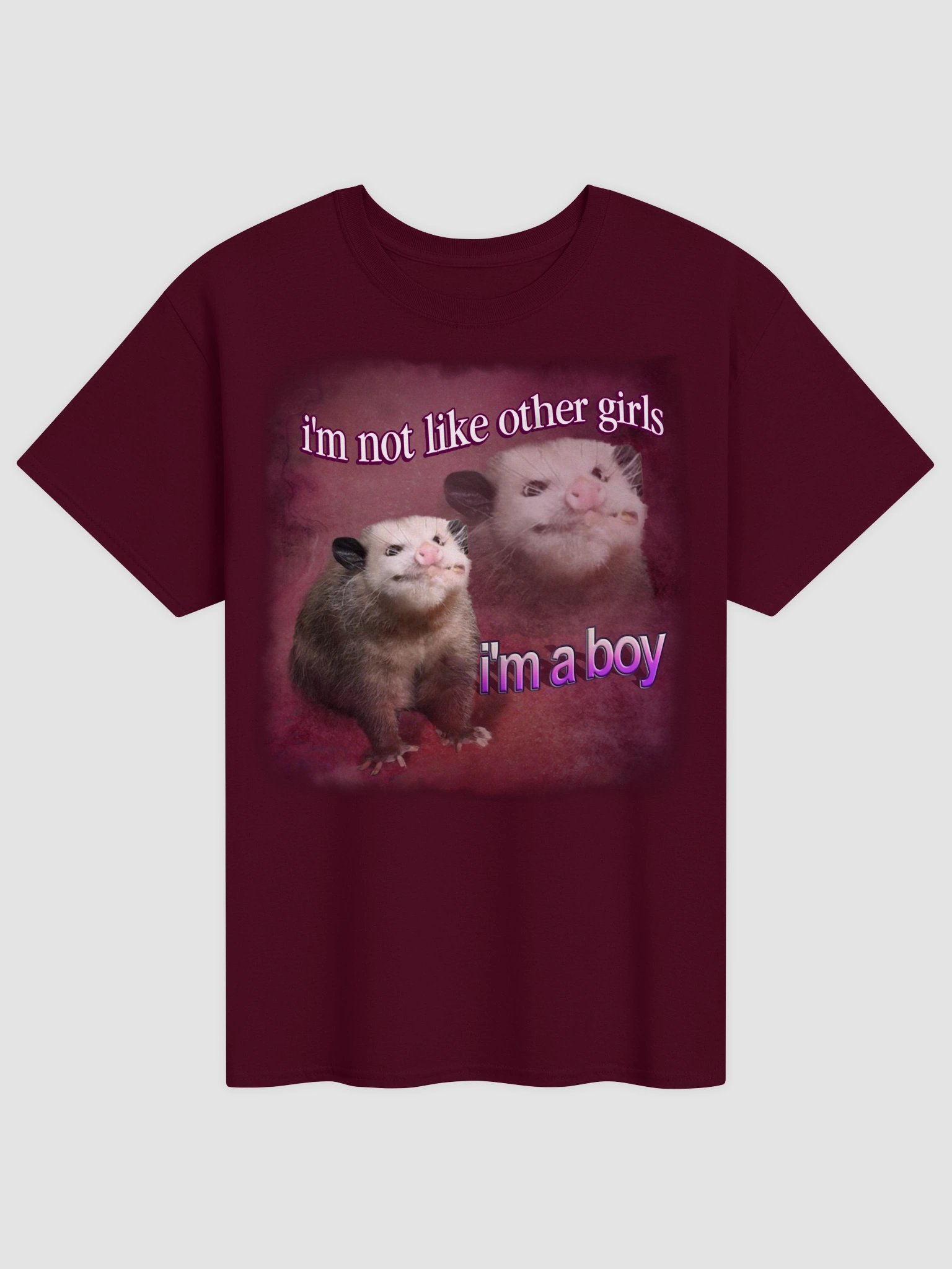 I'm not like other girls, I'm a boy possum T-shirt product image (9)