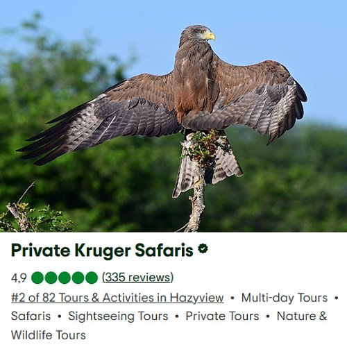 Your 5-Day Wild Kruger Park Escape Awaits

Our 5-Day / 4-Night Skukuza Safari is designed for those who want the perfect bala...