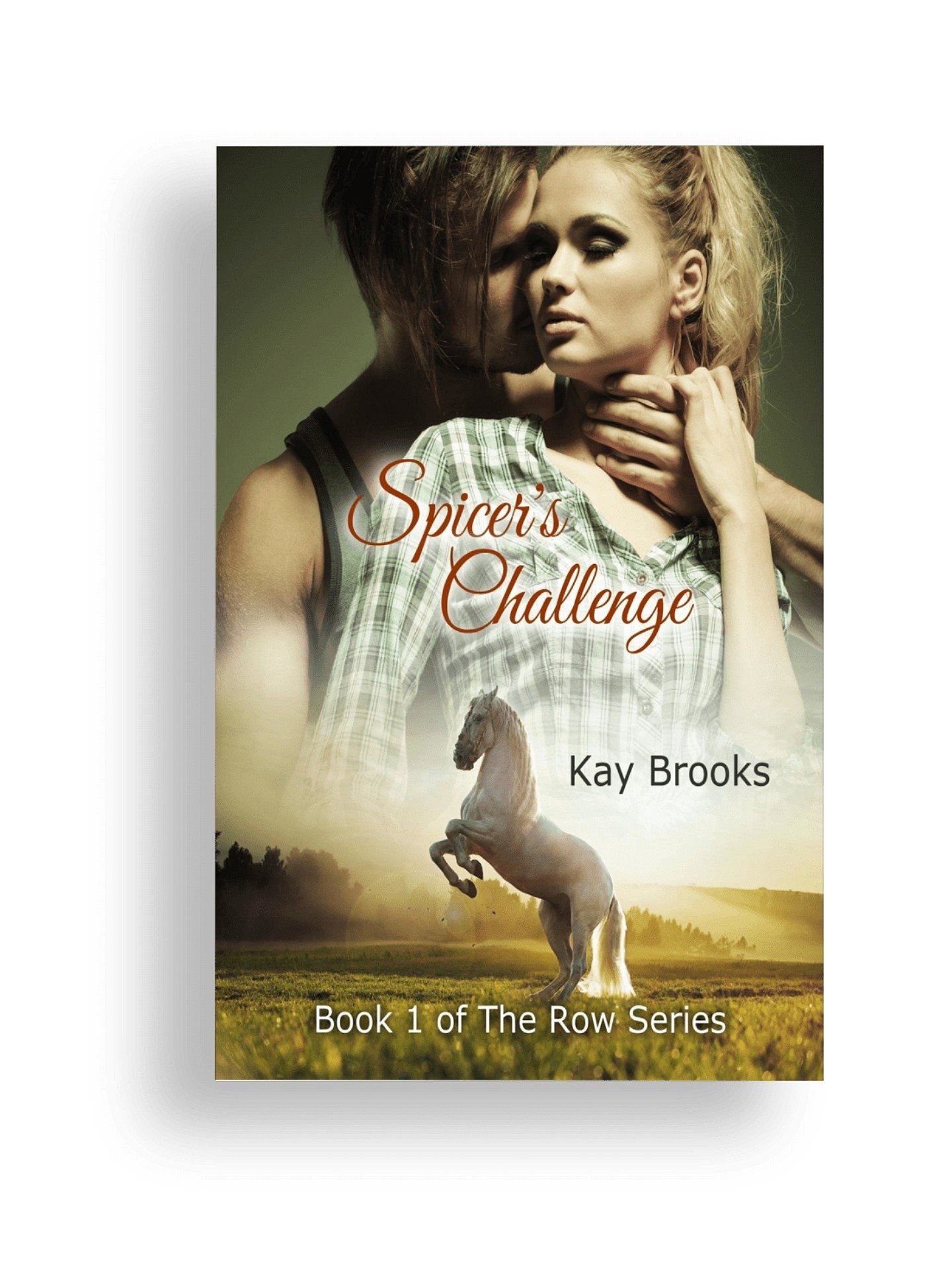Spicer's Challenge product image (1)