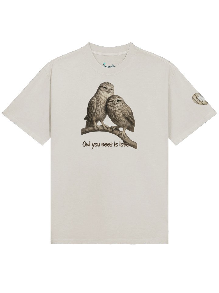 Owl Love Premium Oversized Faded T-Shirt product image (1)