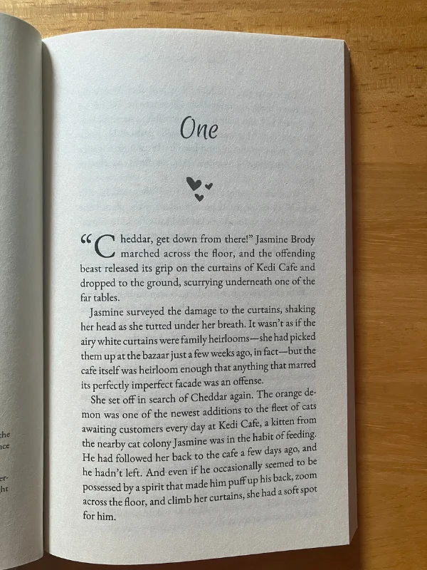 From Strays to Soulmates (Signed Paperback) product image (3)
