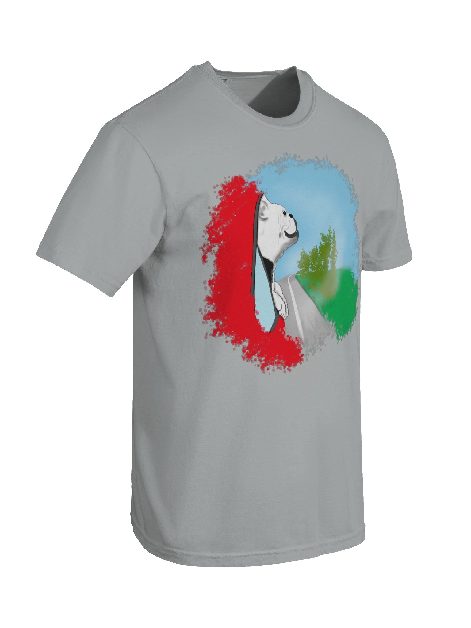 Men's Comfort Colors Garment-Dyed Heavyweight T-Shirt product image (5)