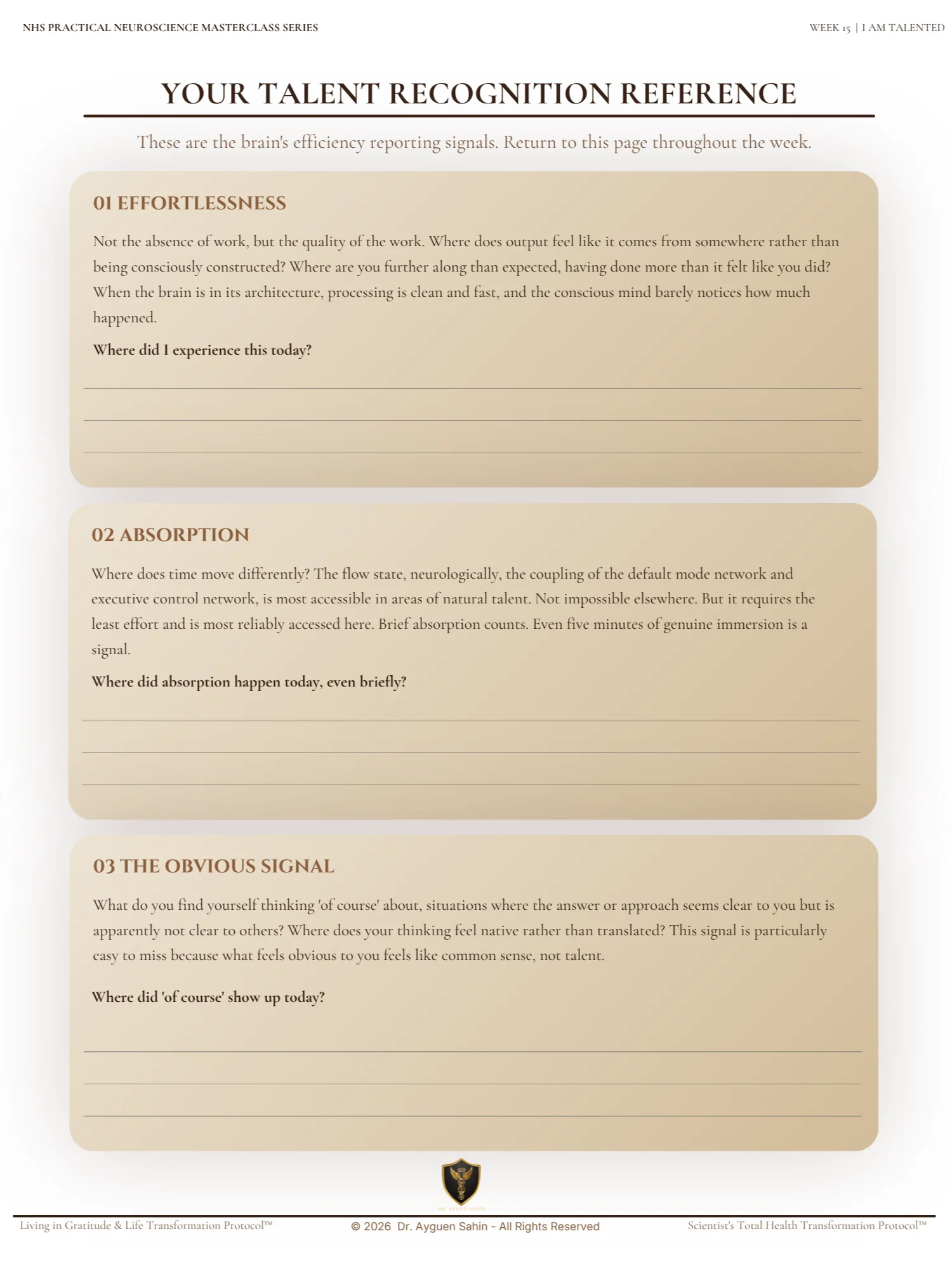 TALENT RECOGNITION AUDIT product image (3)