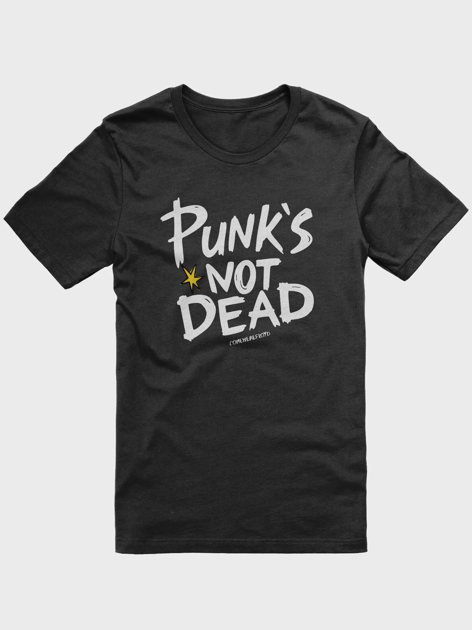 comeherefloyd Music Life Punk's Not Dead product image (1)