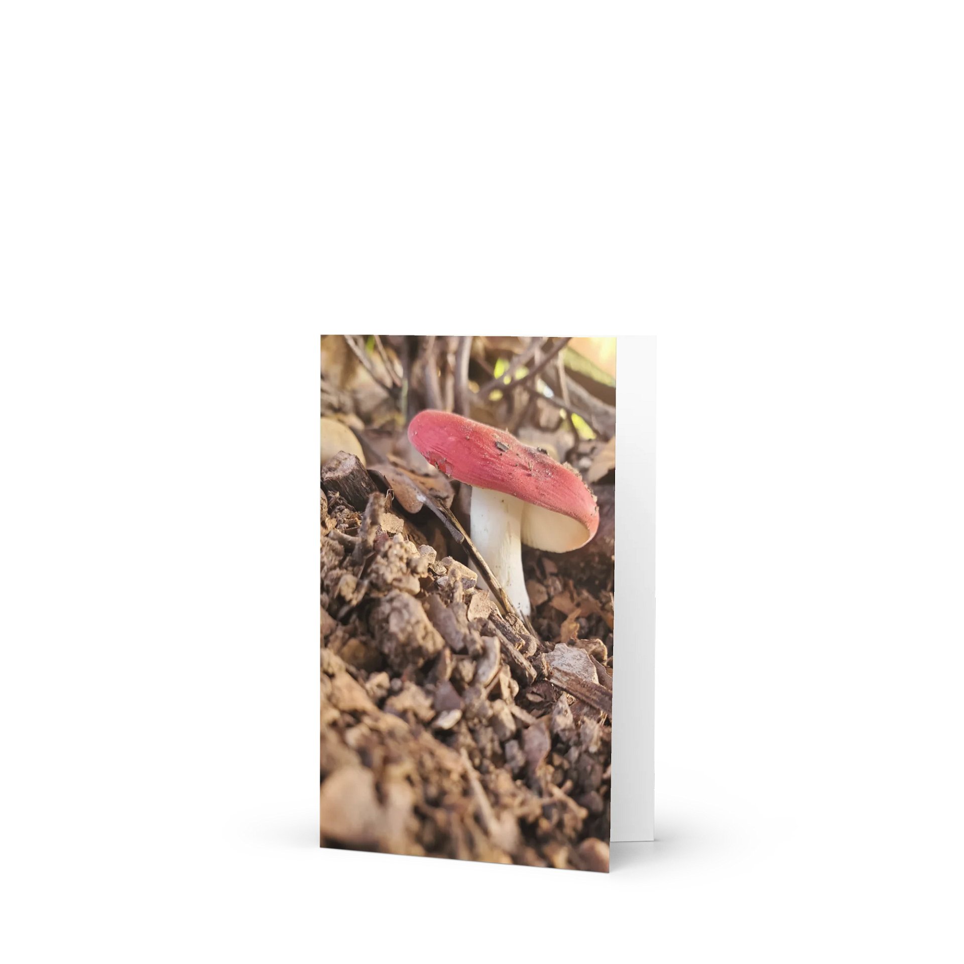 A Red Mushroom Greeting Card product image (1)