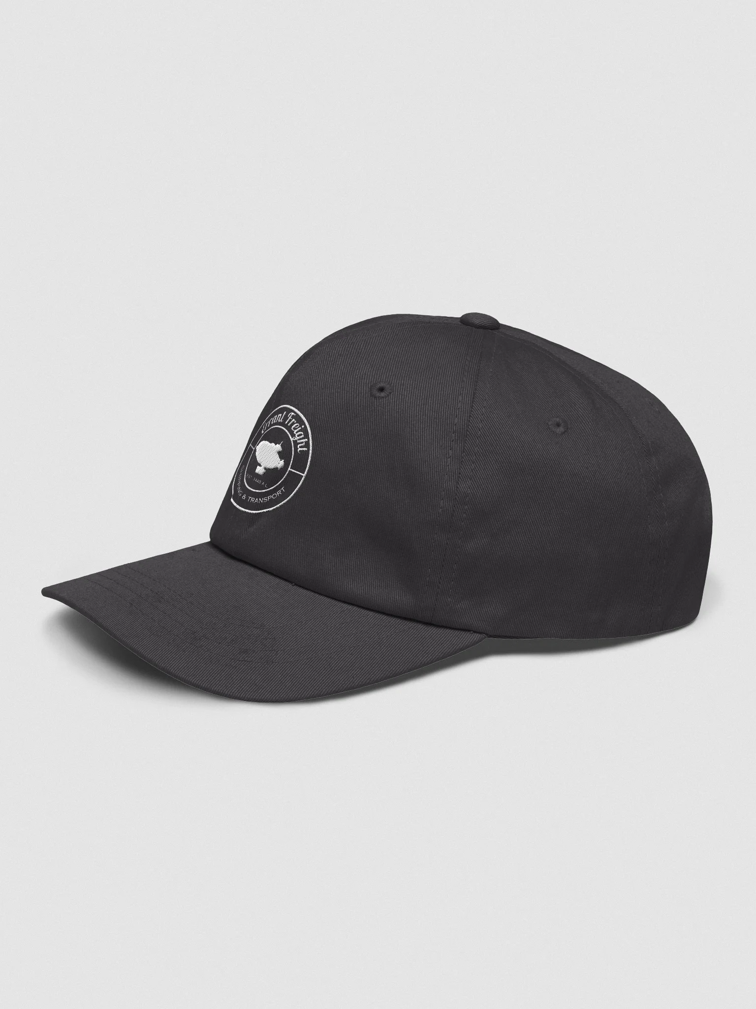 Errant Freight Cap product image (3)