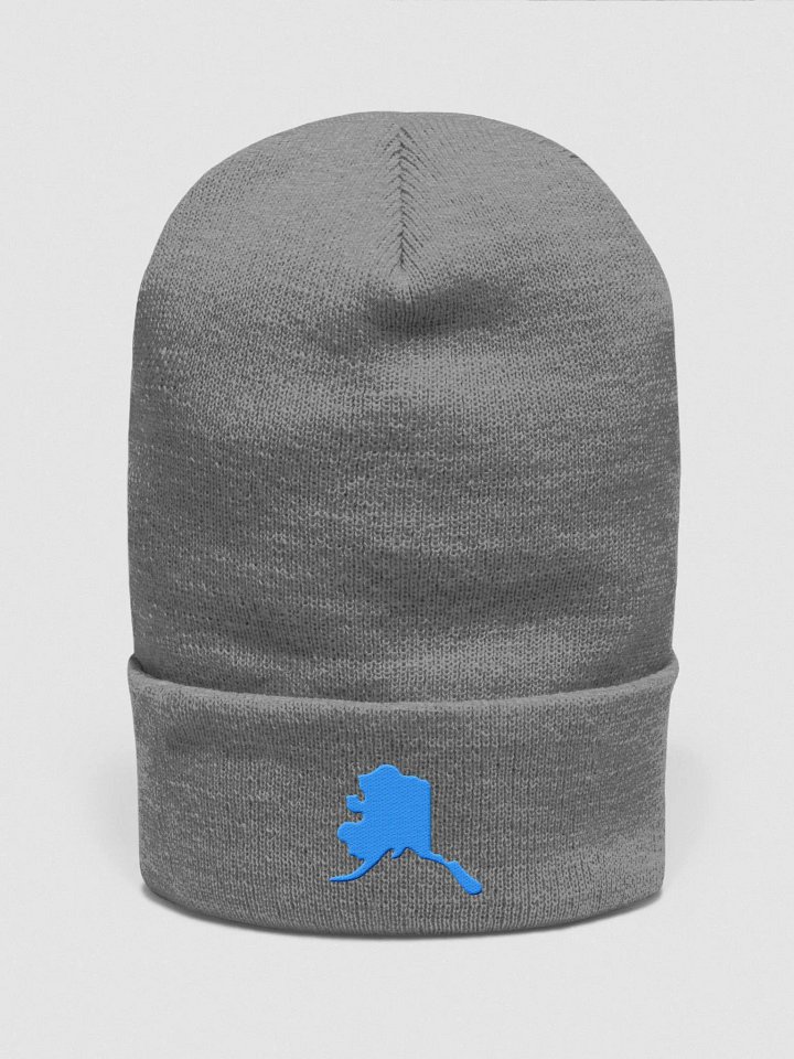 The alaskan ice cap for all product image (1)