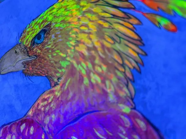 Phoenix product image (3)