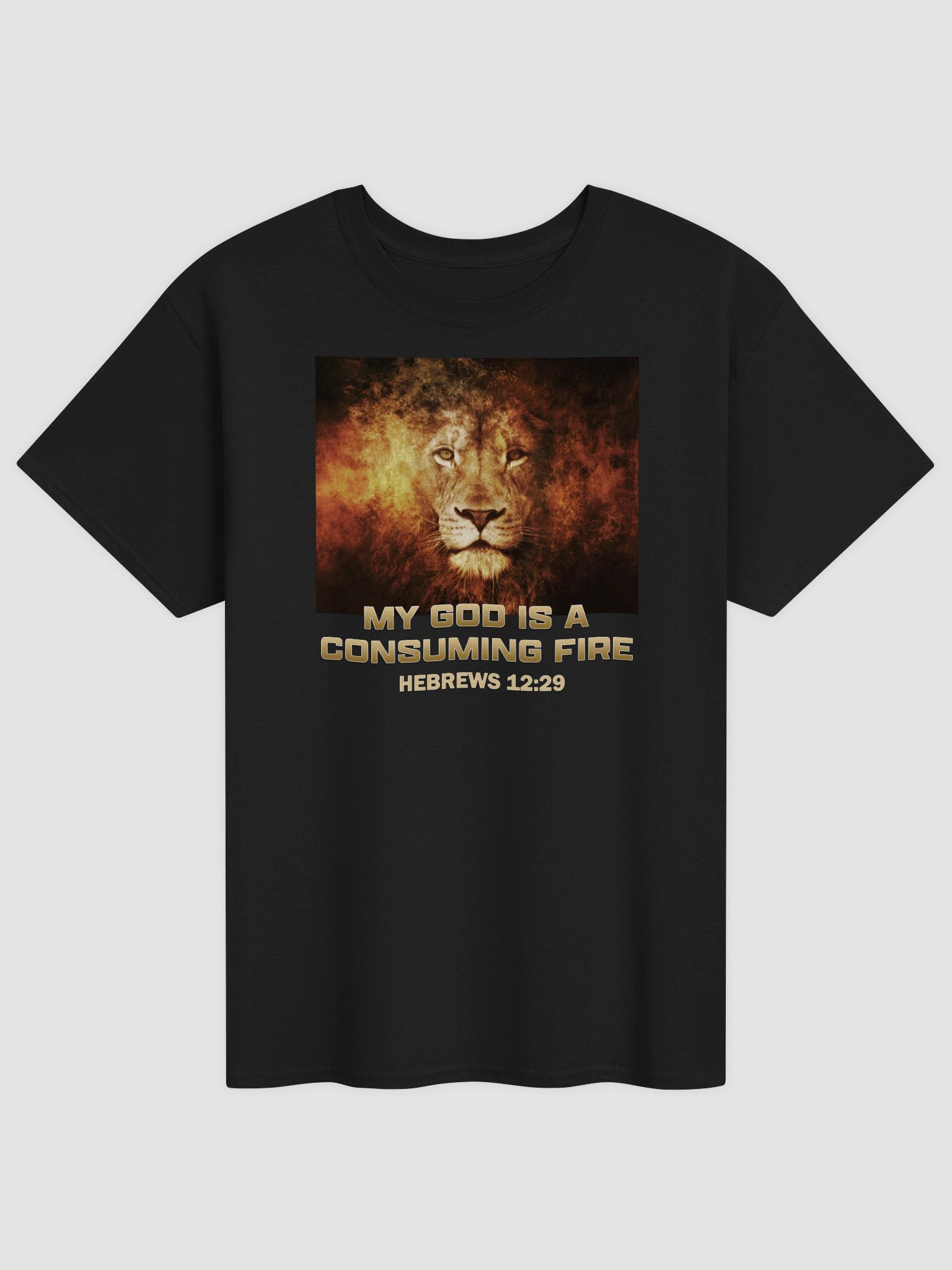 My God Is A Consuming Fire T-Shirt product image (3)